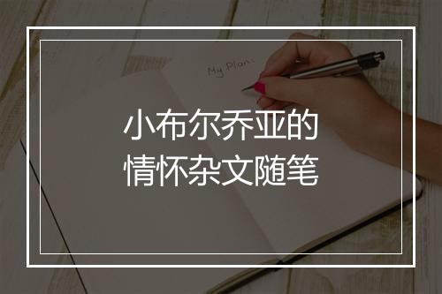 小布尔乔亚的情怀杂文随笔